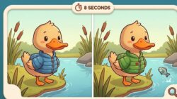 8-Second Visual Challenge: Can You Spot the 3 Differences in the Duck Wearing Jacket Image?