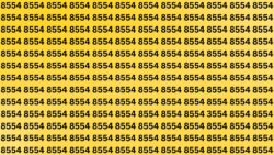 Optical Illusion Challenge: Can You Find 3554 Before Time Runs Out