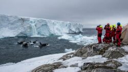 Emergency declared in Greenland as orcas breach dangerously close to rapidly melting ice shelves, dividing experts on whether this is a natural shift or a man made catastrophe