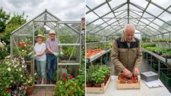 Bad news for pensioners: new tax on private garden greenhouses divides those who grow for pleasure and those who sell for profit