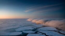 Meteorologists warn early February could signal a critical moment for Arctic stability