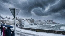 Storm Harry is coming : there will be heavy snow and rain until February 10