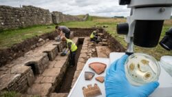 Analyses of Hadrian’s Wall latrines reveal Roman soldiers lived with disturbing gut parasites 1,800 years ago