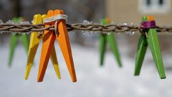 The old folks had a trick before every winter: the humble clothes peg that saves your garden when it freezes