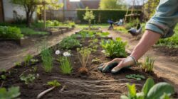 Gardeners who allow certain weeds to grow briefly improve soil life