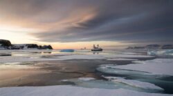 Meteorologists warn Arctic conditions are deteriorating ahead of February in unprecedented ways