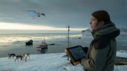 Meteorologists warn scientists alarmed as early February Arctic breakdown approaches a biological tipping point for wildlife