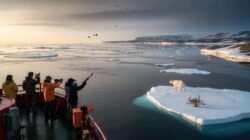 Meteorologists warn scientists alarmed that early February Arctic shifts may trigger a biological tipping point